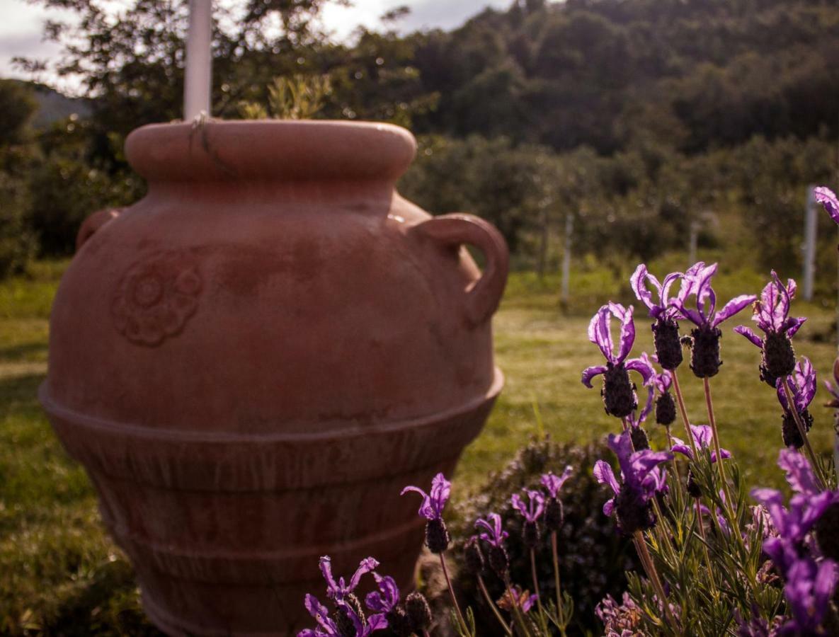 Mulino Della Rivolta Villa Montenero  Dış mekan fotoğraf